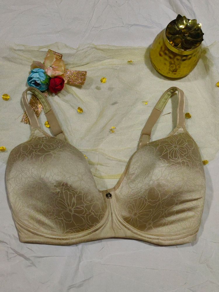 34DDD Bra Pluse Size