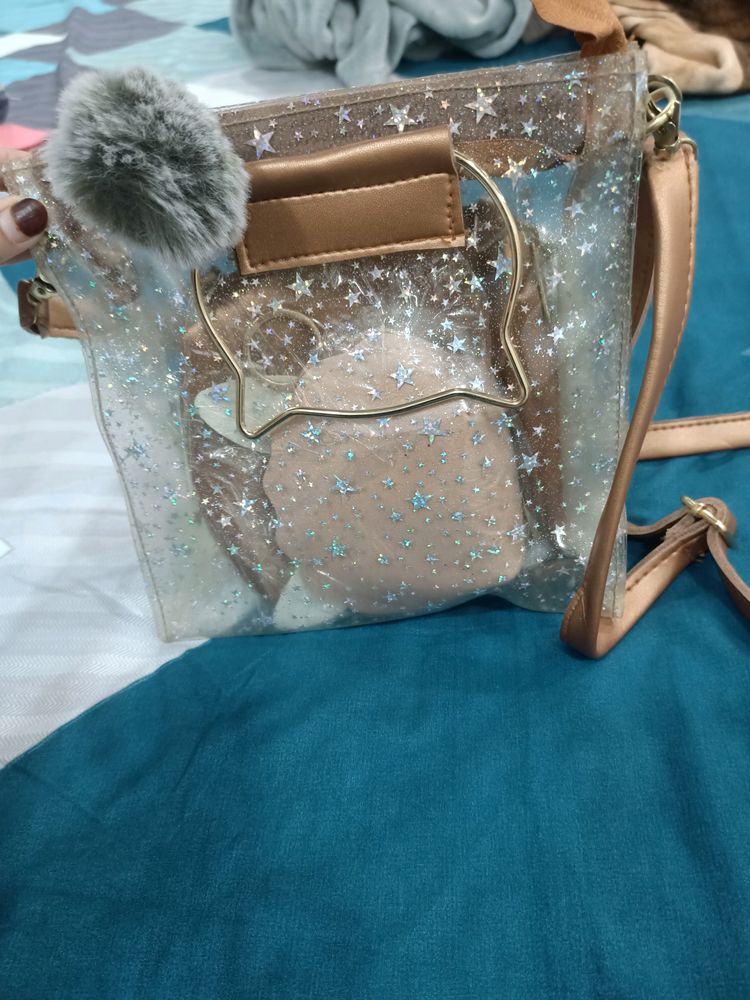 Transparent Sling Bag