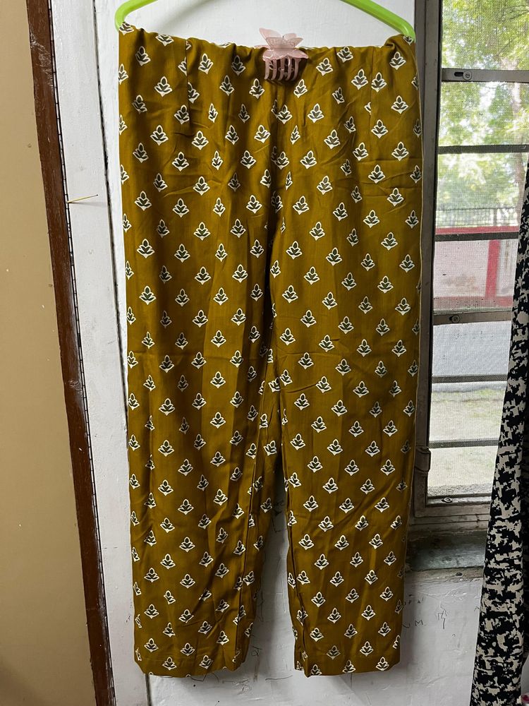 Daily Wear Pant