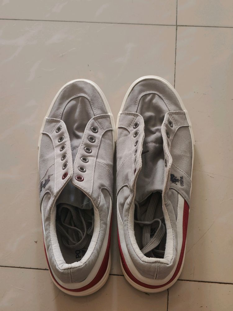 Original USPA light Grey Shoes With Colour Stain