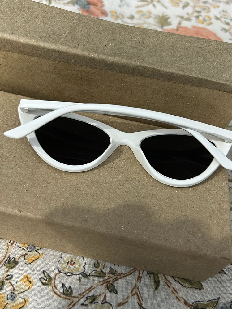 Trendy Sunglasses