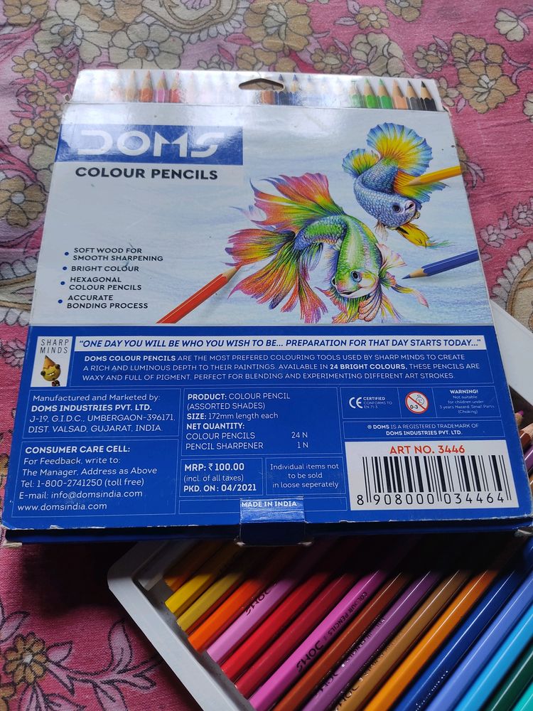 Doms Colour Pencil