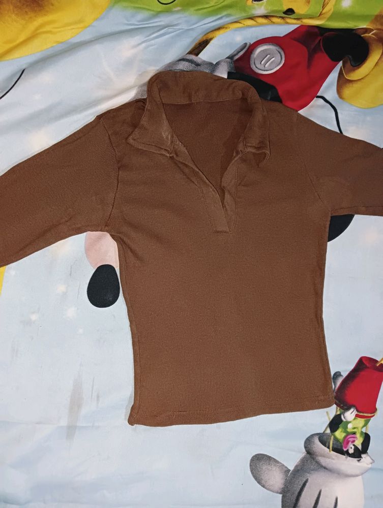 Brown Sleeves Top