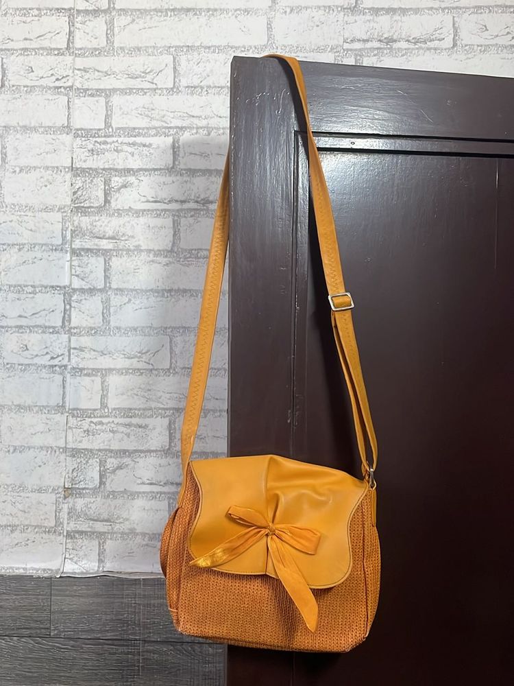 Baggit Originals Sling Bag With Back Zipper