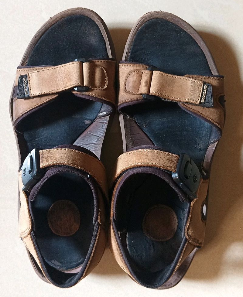 Woodland Brown Men's Sandals