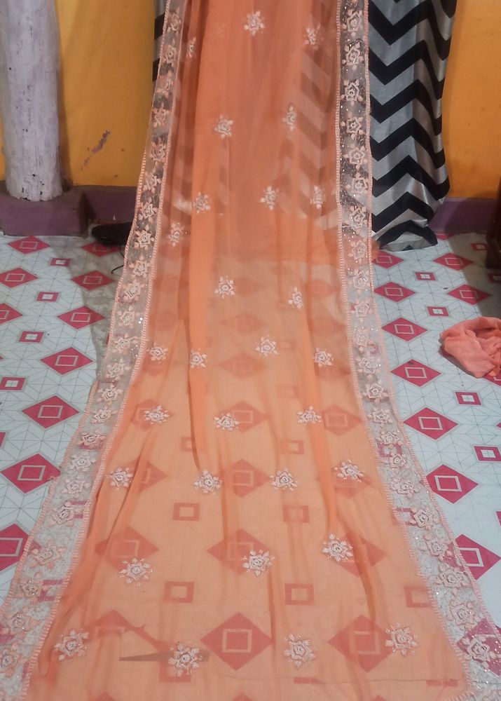 Beautiful Saree Coral Colour With Blause