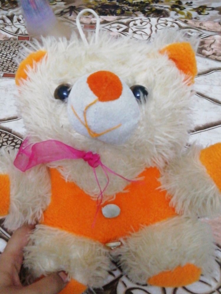 Teddy Bear Soft Toy