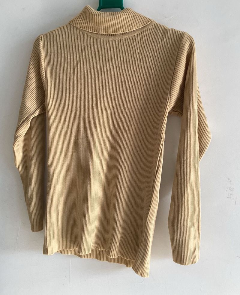 Tan Brown Turtle Neck