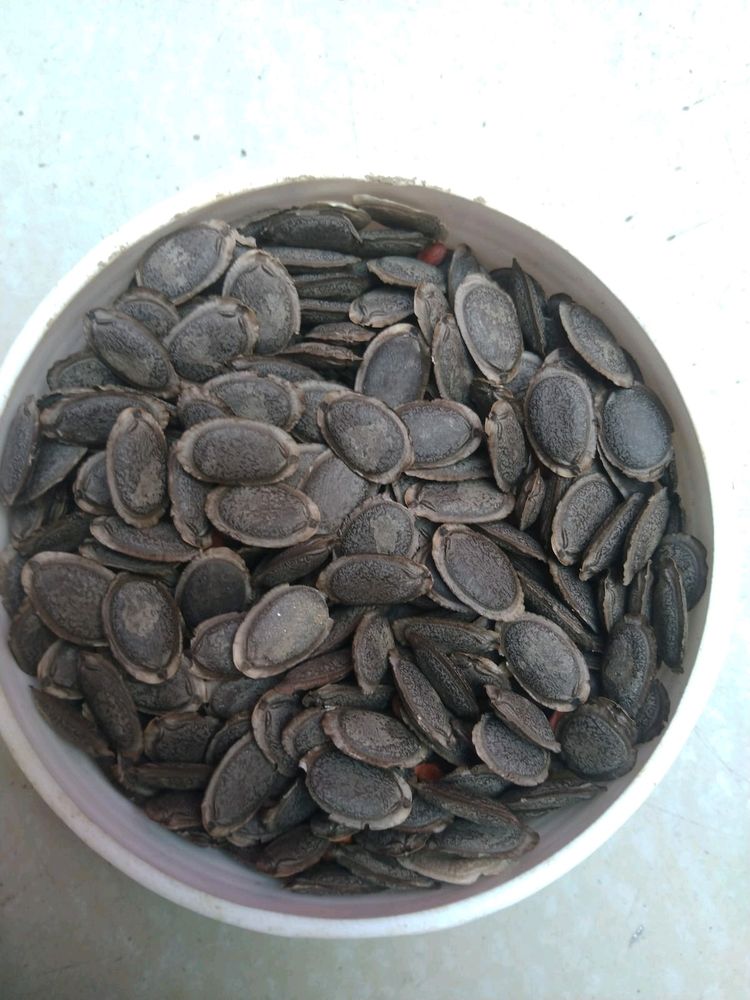 Tori Seeds