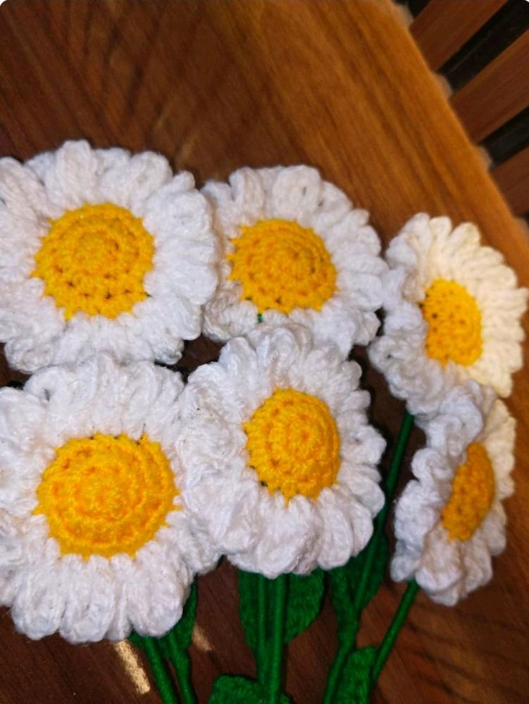 Pack Of 6 Crochet Daisies