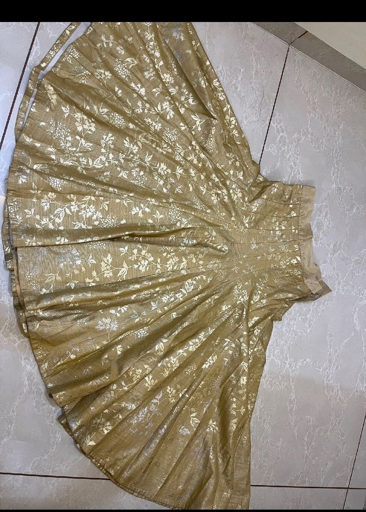 Golden Skirt Free Size