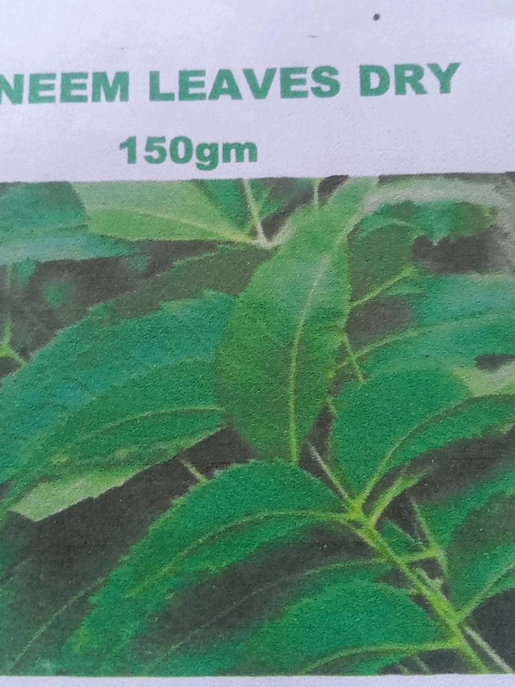 Neem Leaves Dry