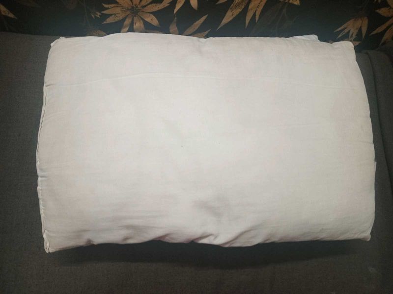 Combo Two Pillows In Good Condition