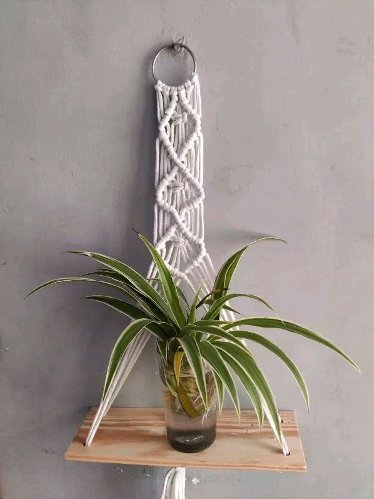 Combo Of 2 Macrame Wall Hanging