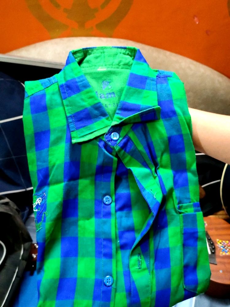 Green Check Shirt