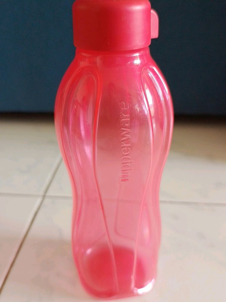 Combo Tupperware Waterand One Other Company Bottle