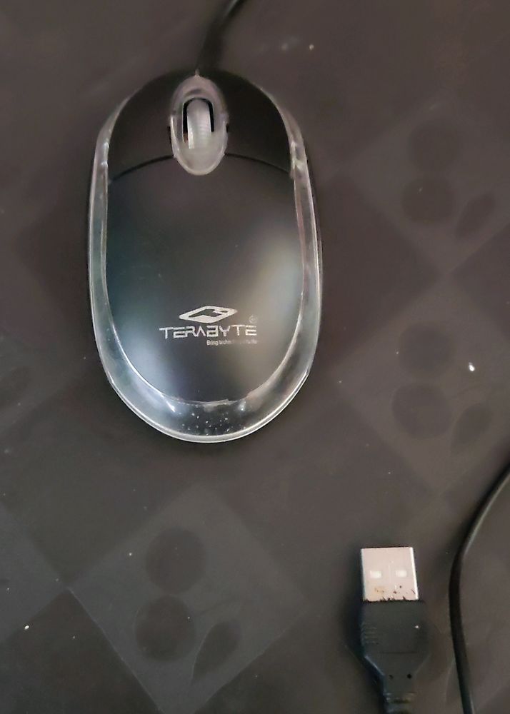 Terabyte Wired USB Optical Mouse With Lightning