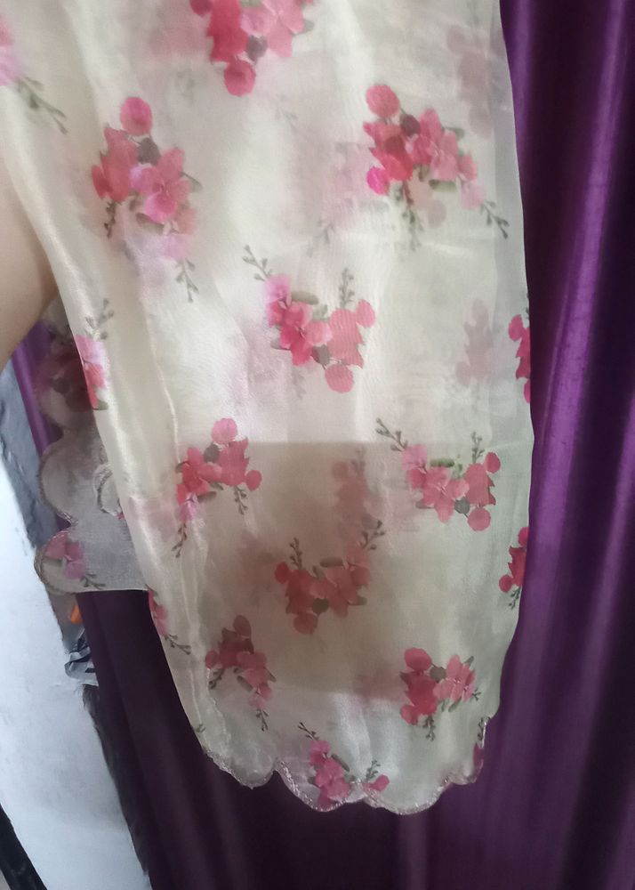 Its Beautiful Organza New Dupatta I Never Used