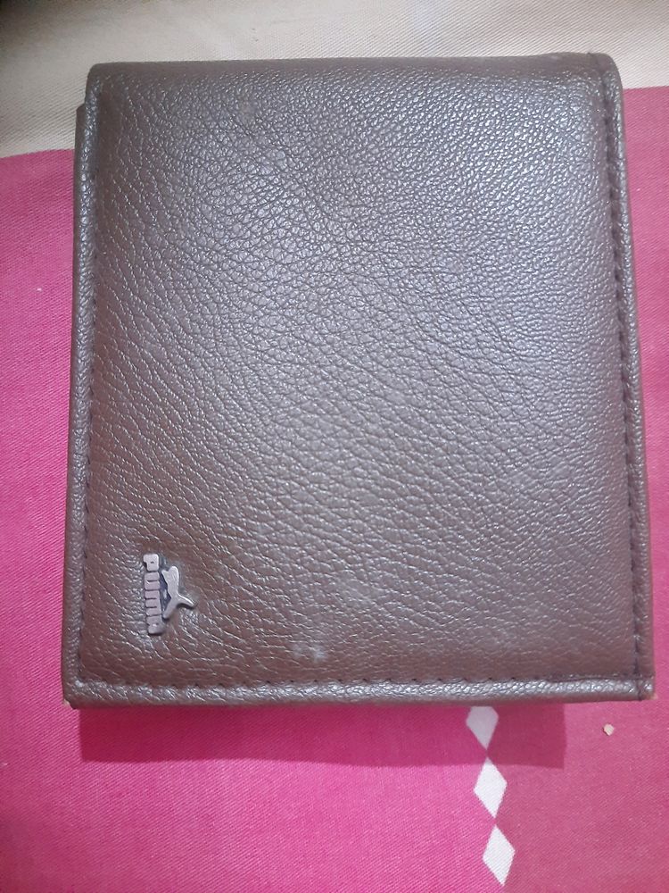 men's wallet