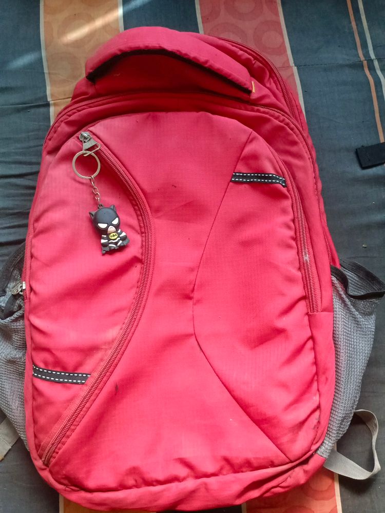 School/ College Bag