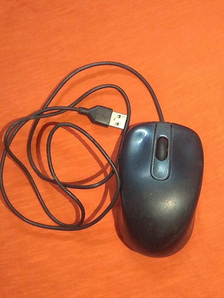 Mouse