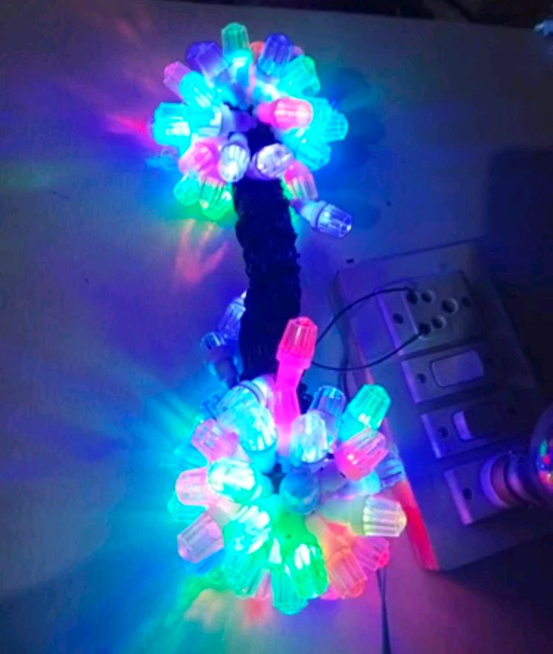 Indian Diamond Diwali Decoration Light 40Feet