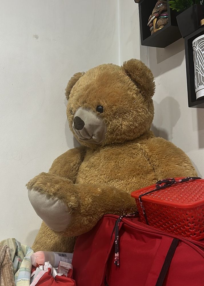 Big Teddy