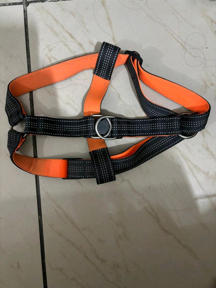 Last Price!!!No Pull Dog Training Leash