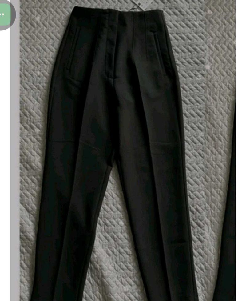 Zara High Waisted Pleated Pants