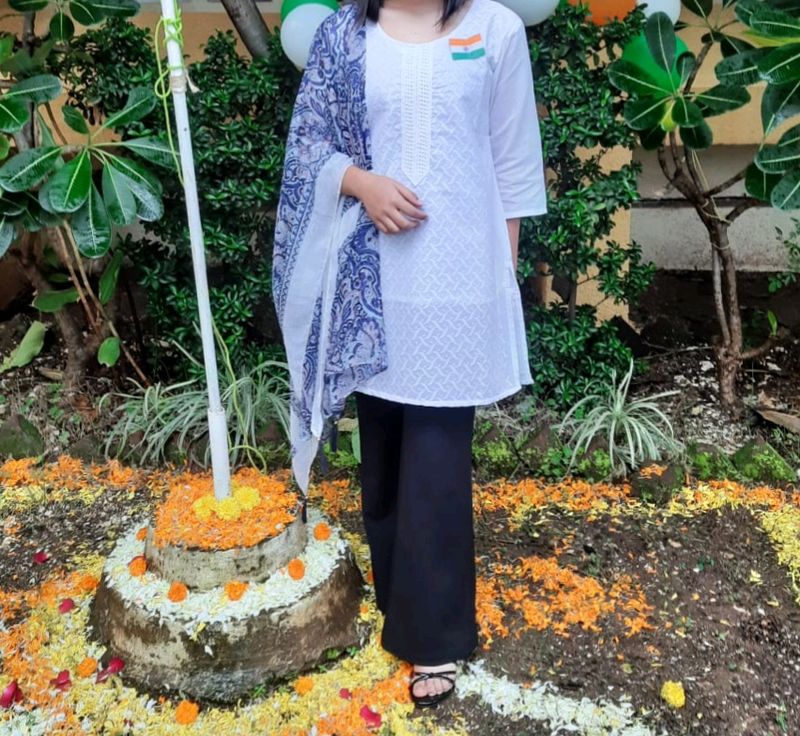 Chikan Kari Kurti.