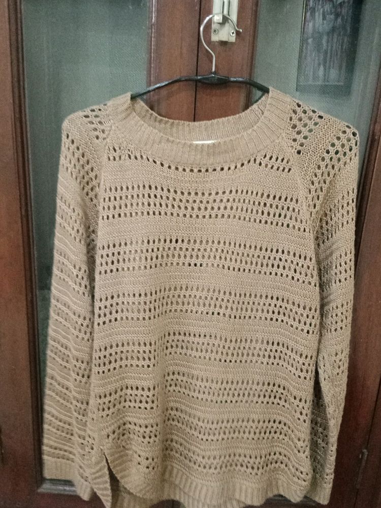 Brown Sweater