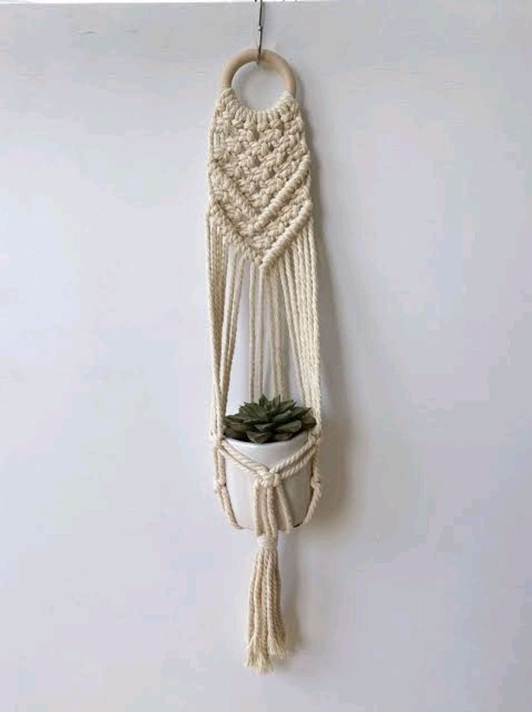 Plant Hanging