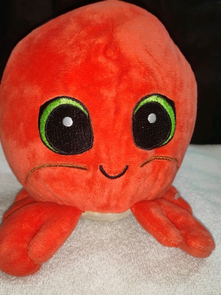 Orange Octopus