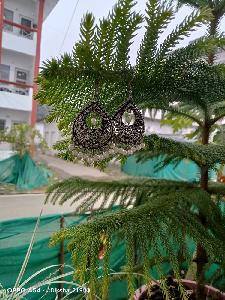 Beautiful Oxidized Earings