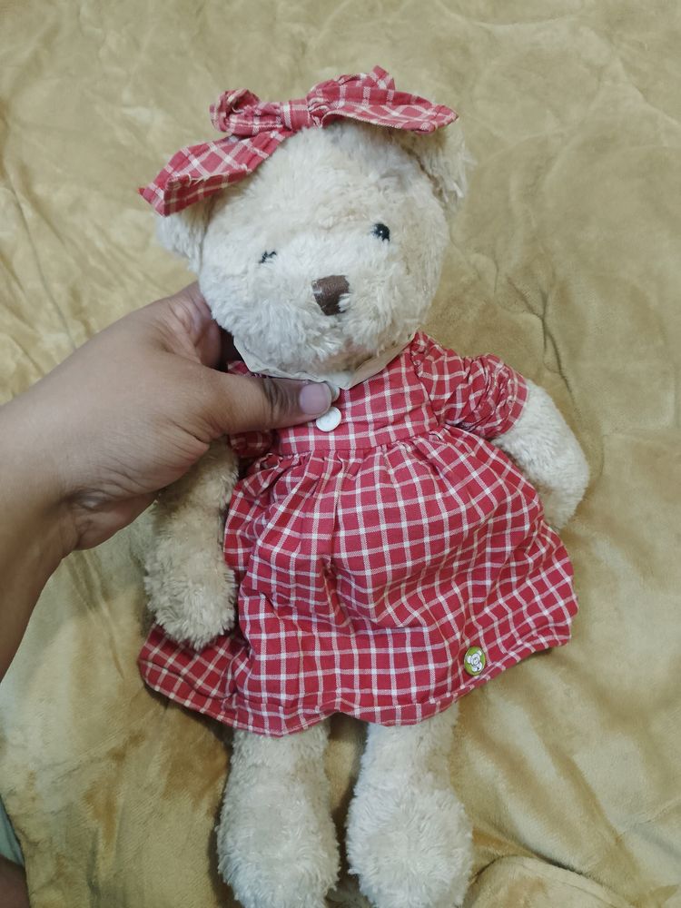 Original Jeju Teddy bear