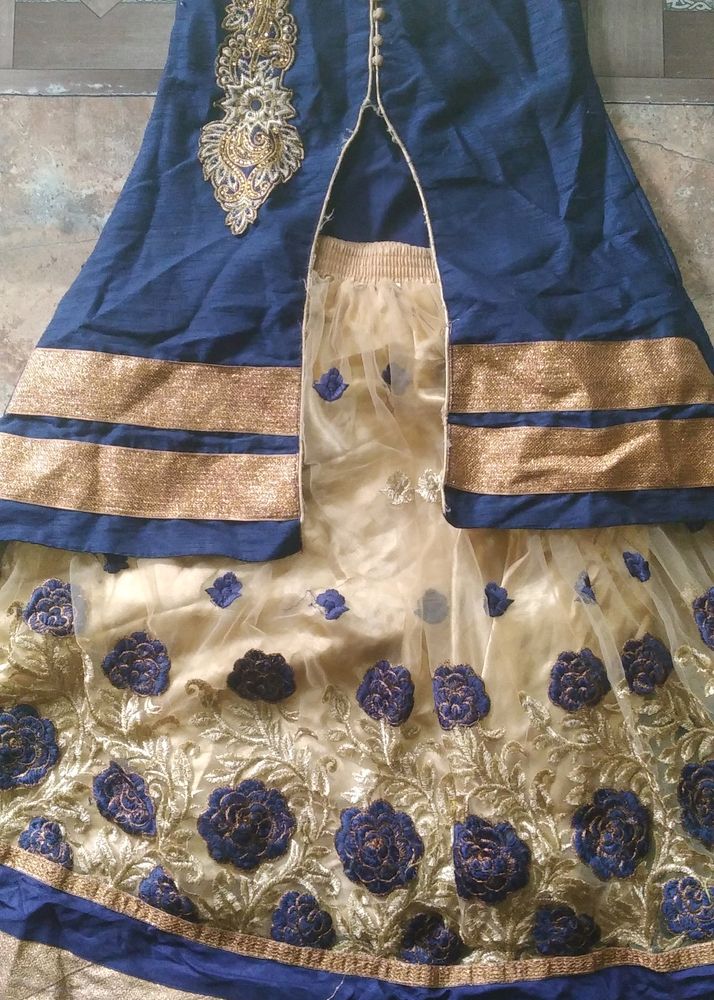 Bajirao Mastani Pattern Lehenga