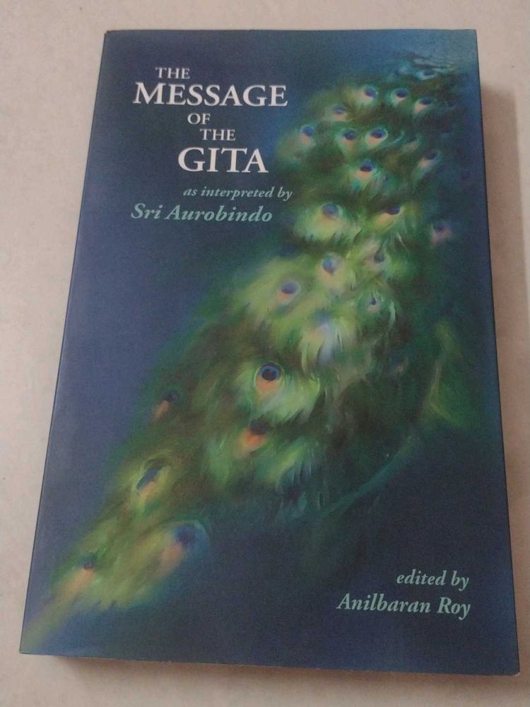 The Message Of thegita, Meditation