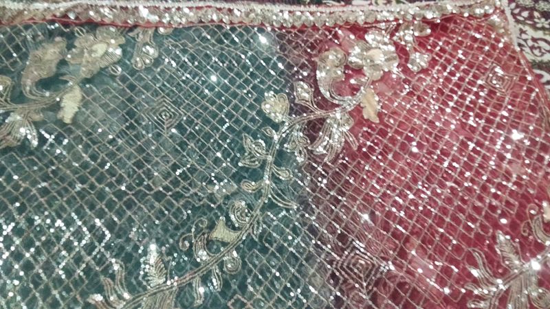 Double Colour Net Dupatta Work