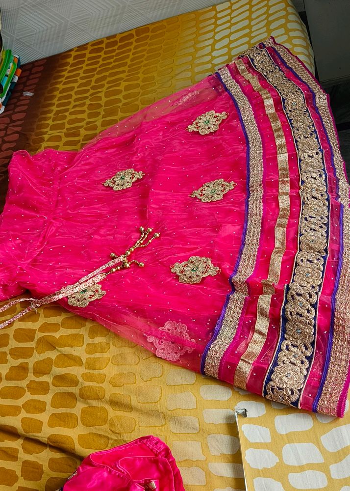 Net Lehenga Choli