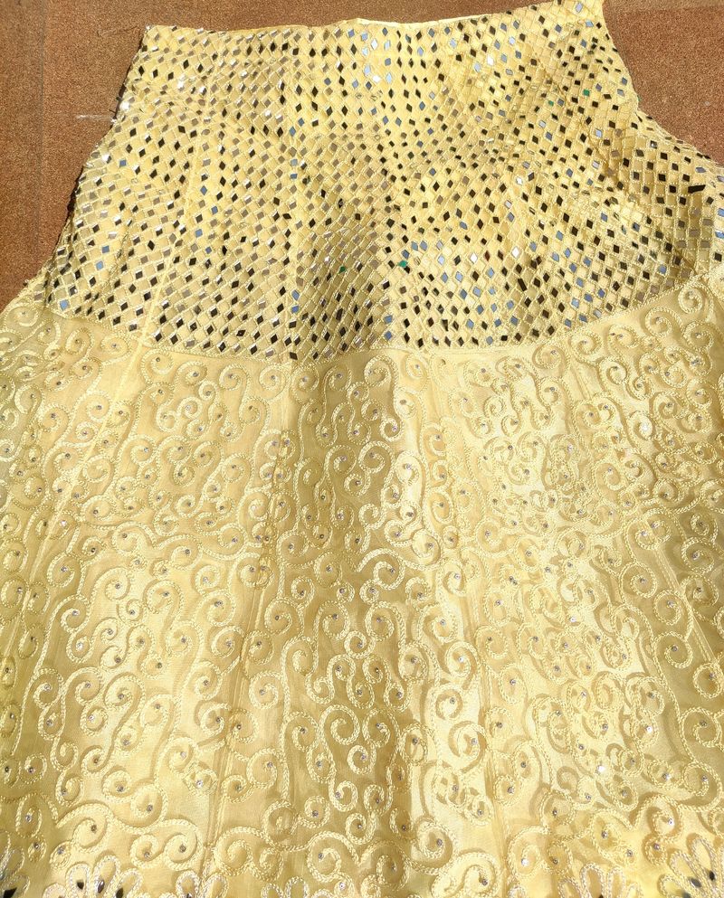 Embroidered Lehenga Choli