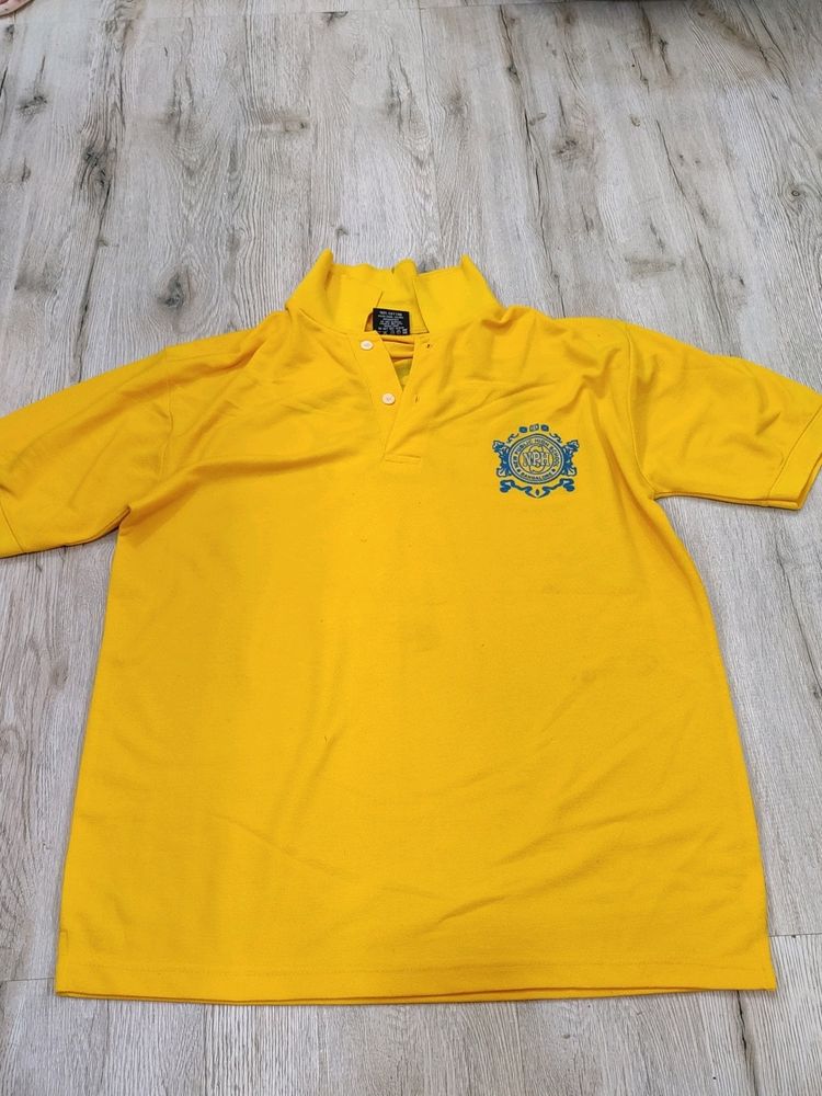 Sc041  Cotton Tshirt Size 44