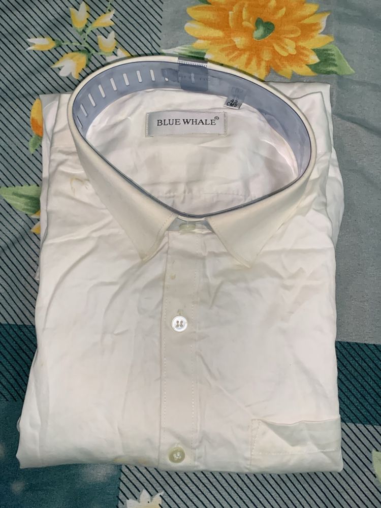 Branded White Shirt With Tag