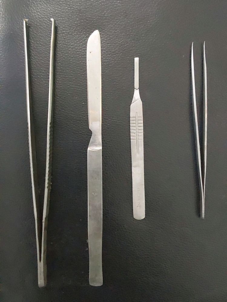 Dissection Instruments For Anatomy