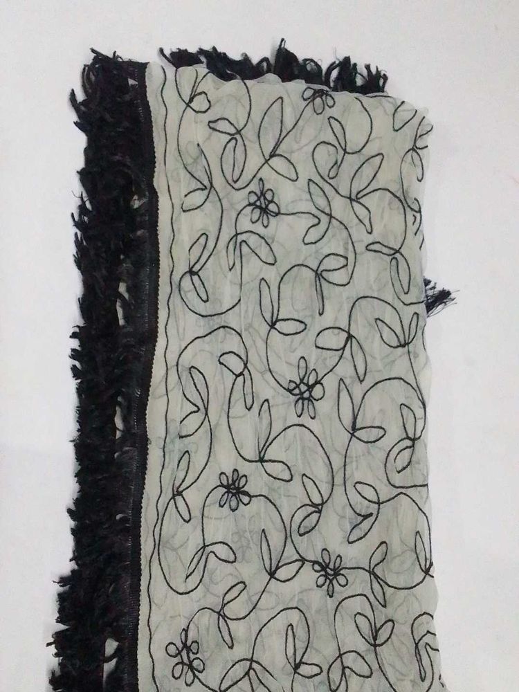 Beautiful Black And White Net Dupatta