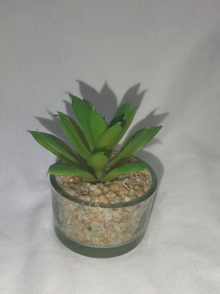 home decor artificial plant