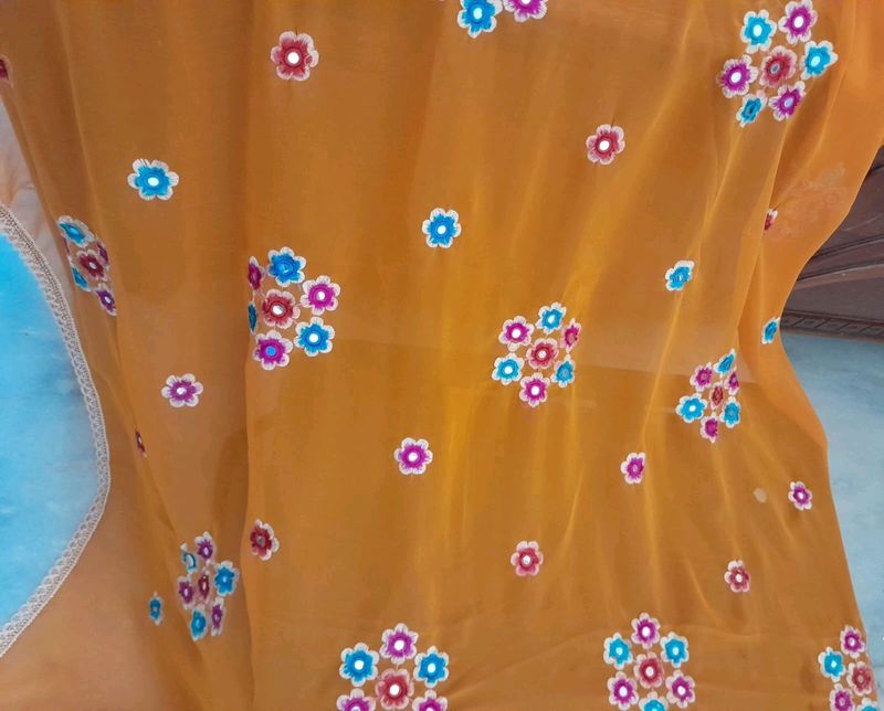 Flower Embroidered Orange Saree